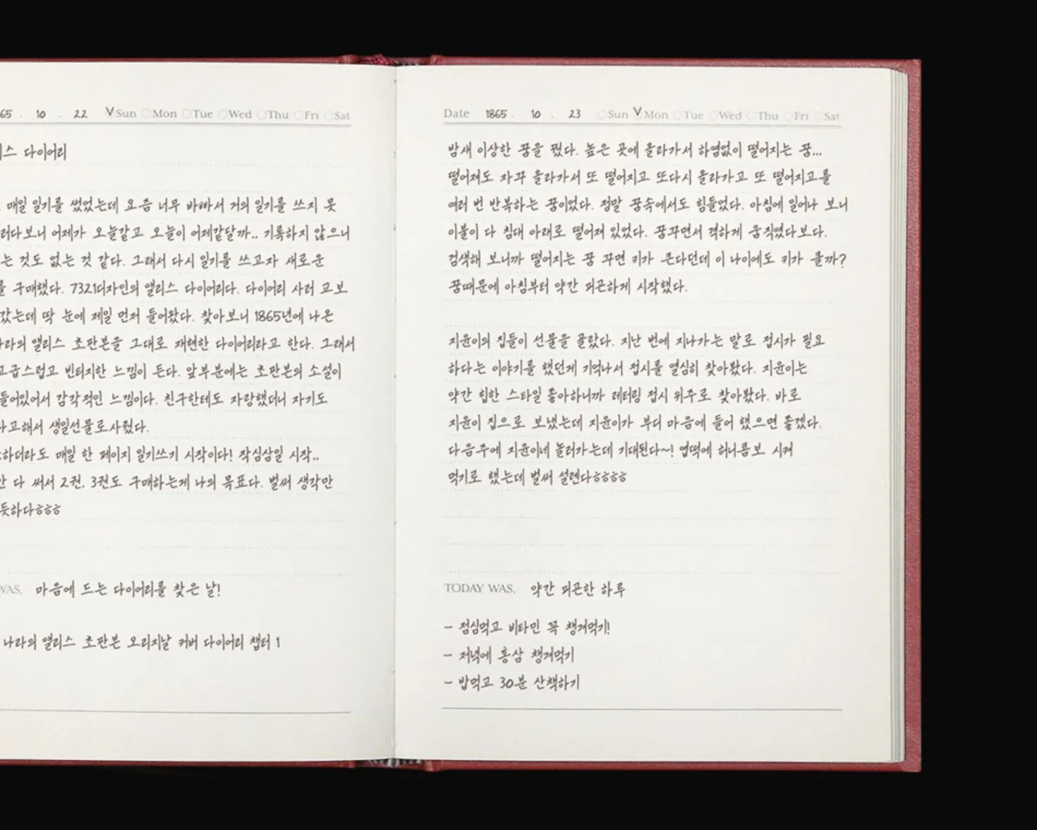 Alice in Wonderland Daily Scheduler