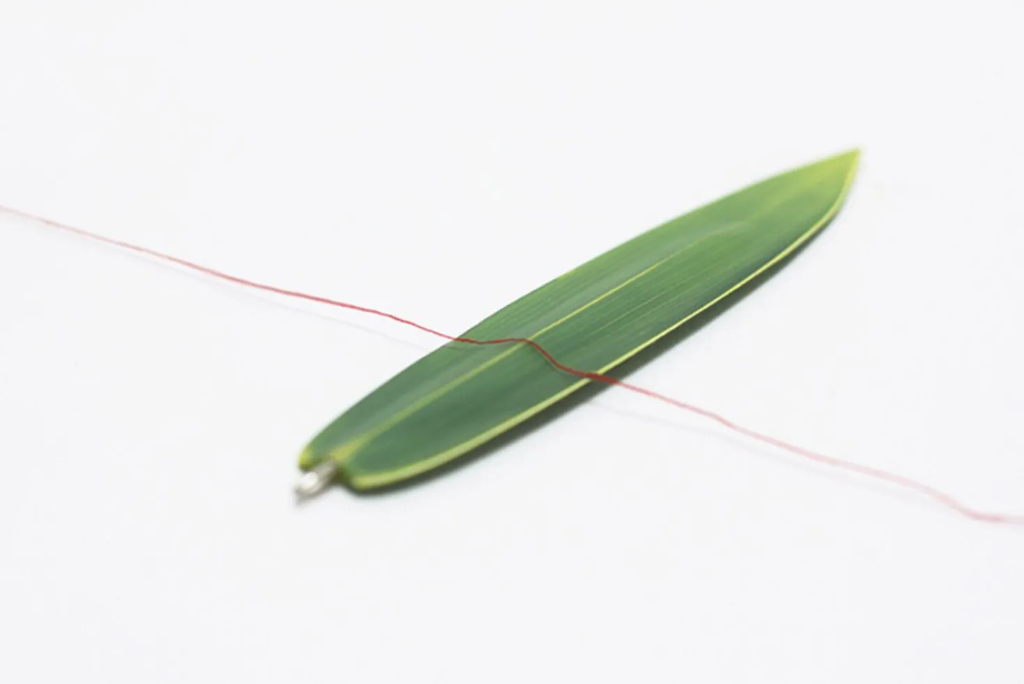 Bamboo Leaves Bookmark Pen
