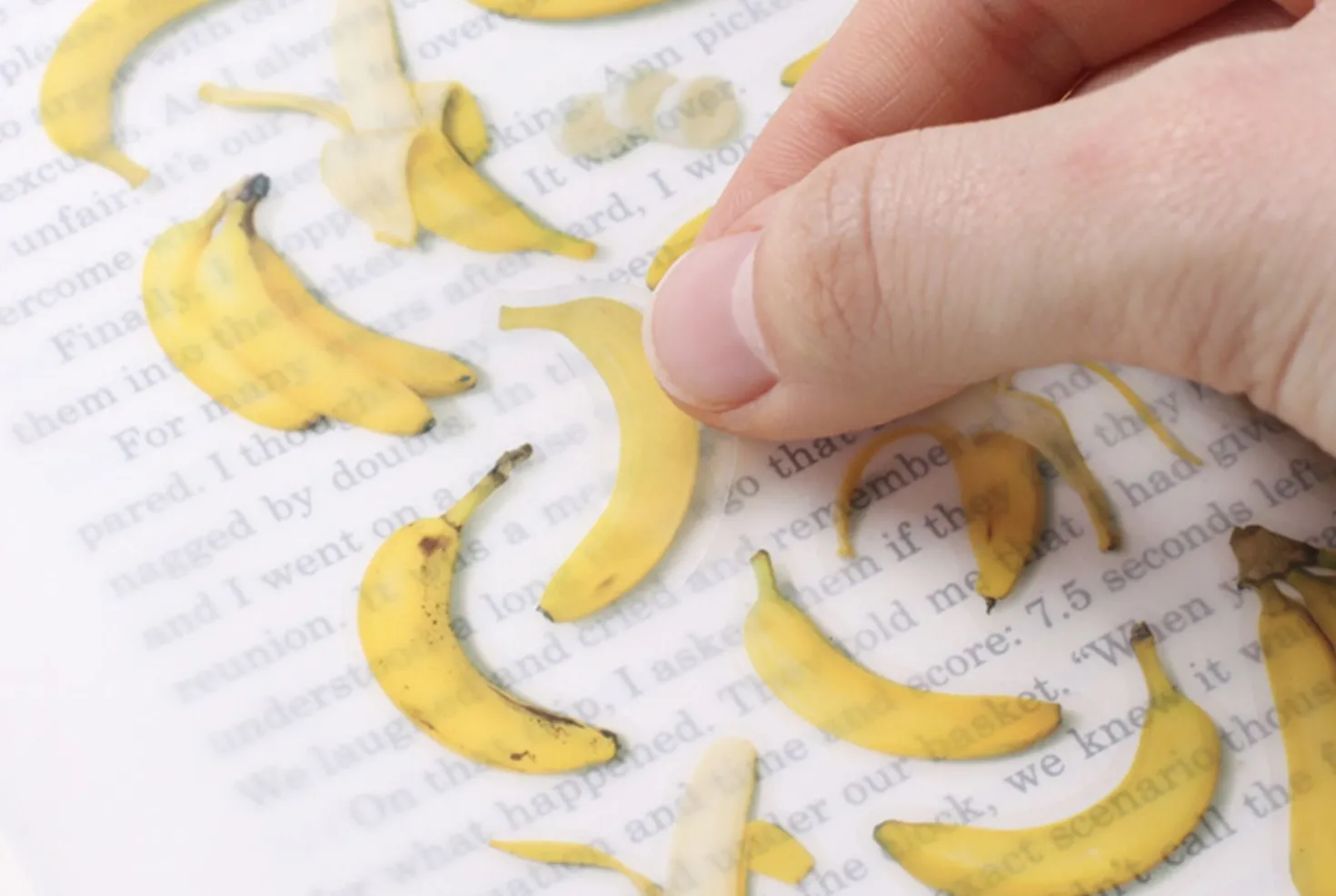 Banana Pressed Fruit Sticker