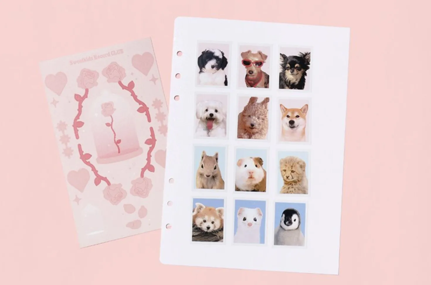 Be On D Sticker Book 6 Ring A5 Refill