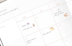Between Calm and Passion Scheduler