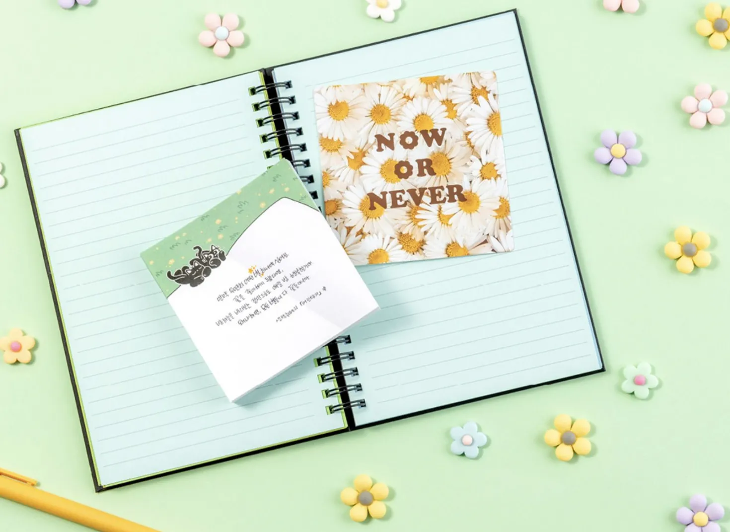 Black Cat Book Memo Pad