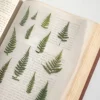 Bracken Pressed Flower Sticker