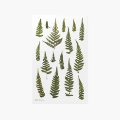 Bracken Pressed Flower Sticker