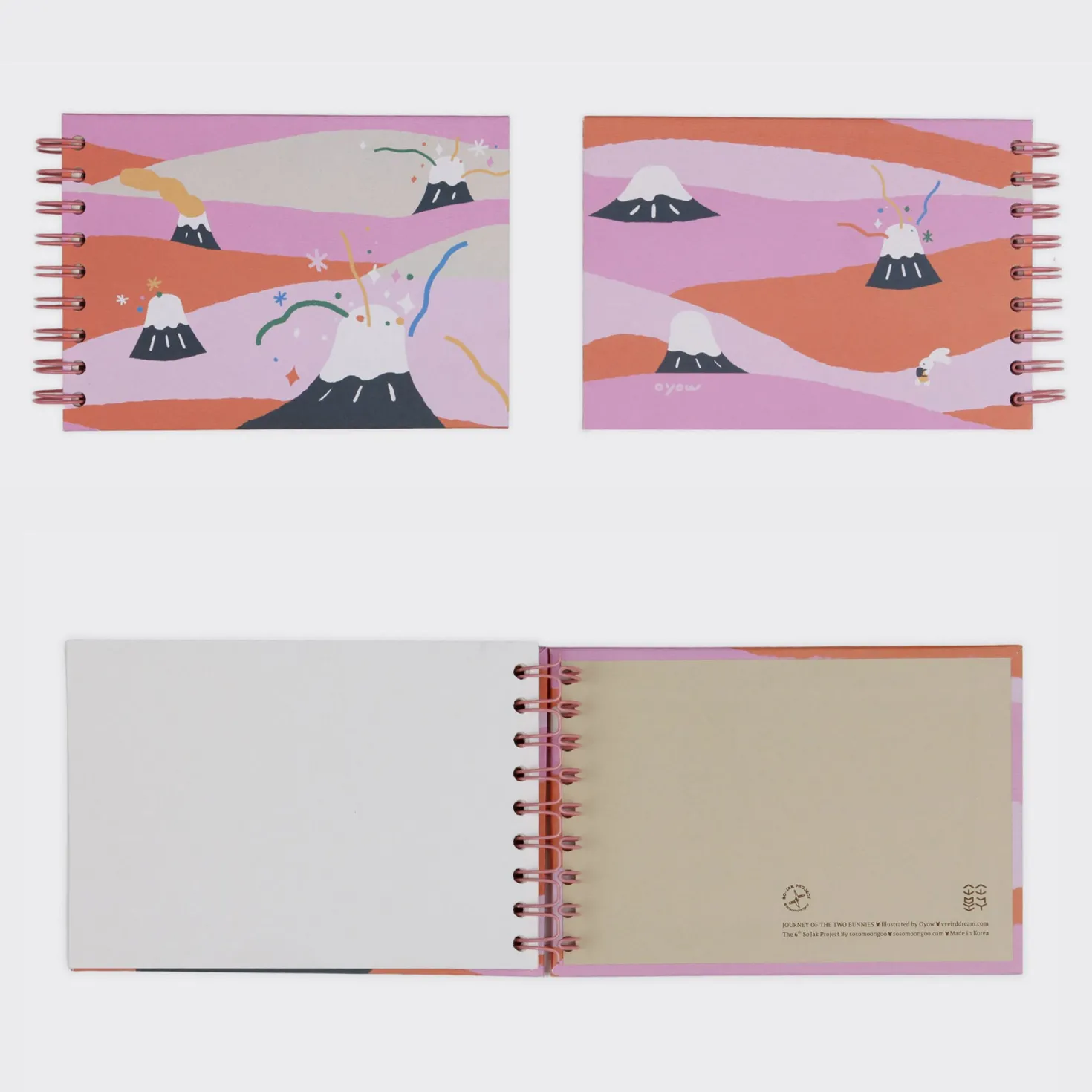 Bunny Illustration Drawing Book