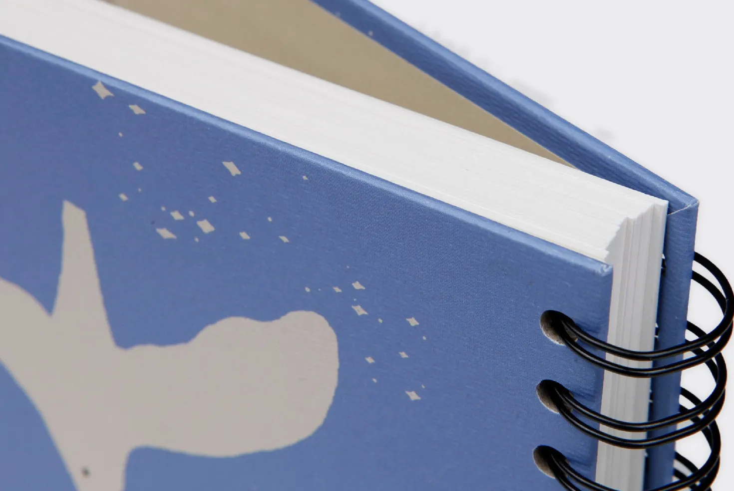 Bunny Illustration Drawing Book