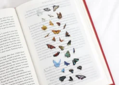 Butterfly Nature Sticker