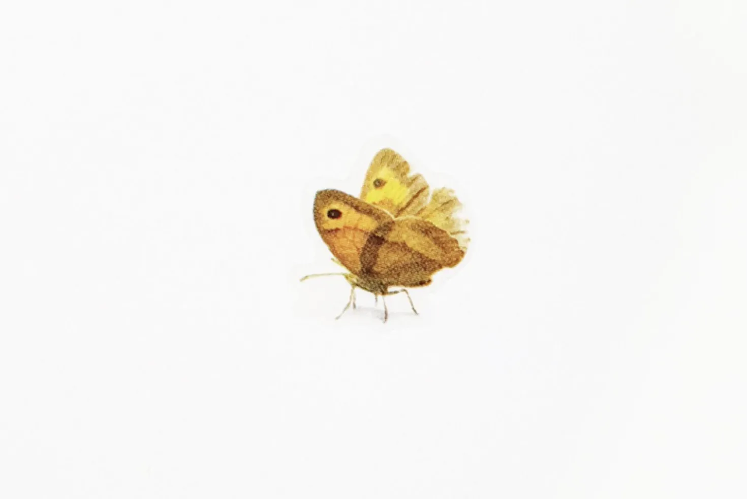 Butterfly Nature Sticker