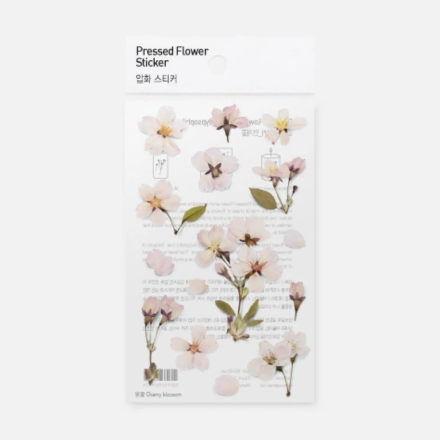 Cherry Blossom Pressed Flower Sticker