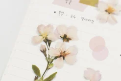 Cherry Blossom Pressed Flower Sticker