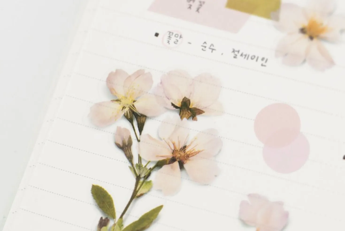 Cherry Blossom Pressed Flower Sticker