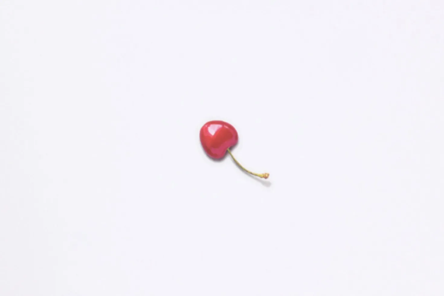 Cherry Pressed Fruit Sticker