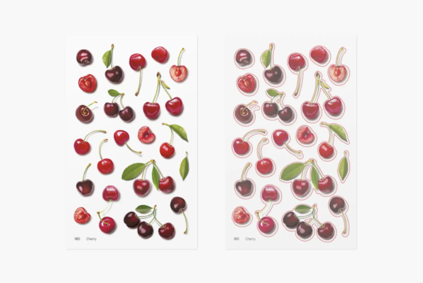 Cherry Pressed Fruit Sticker