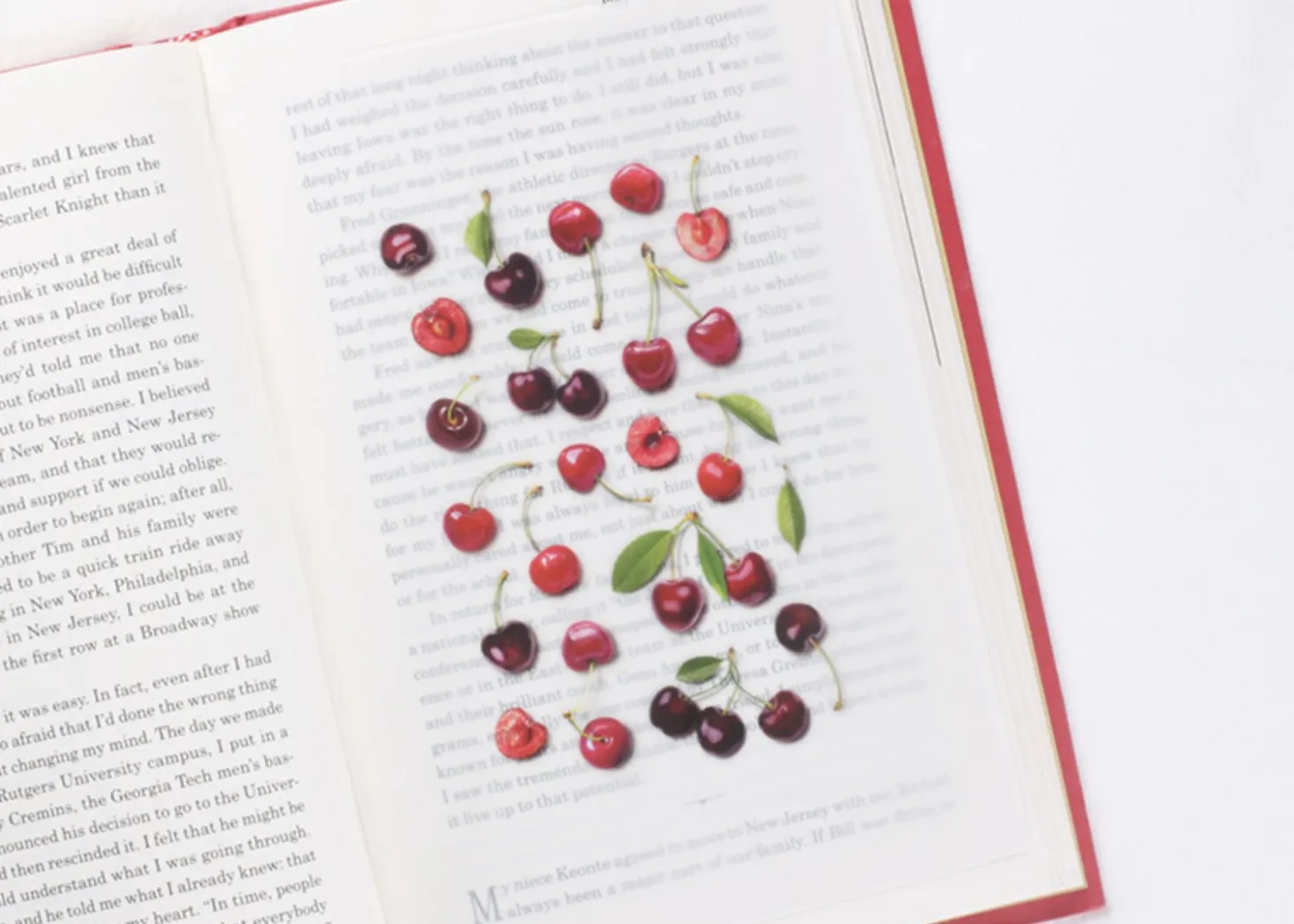 Cherry Pressed Fruit Sticker