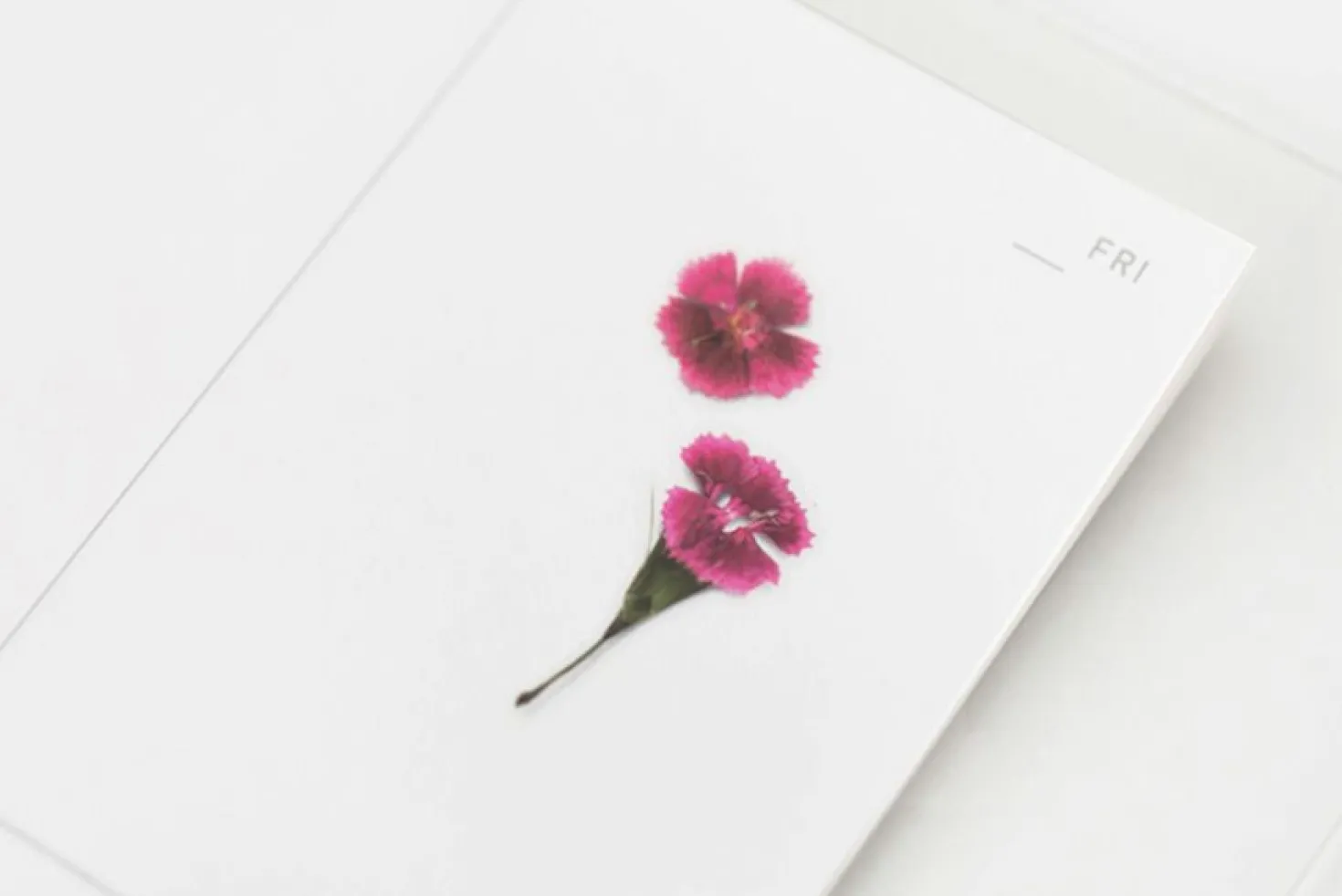 China Pink Pressed Flower Sticker