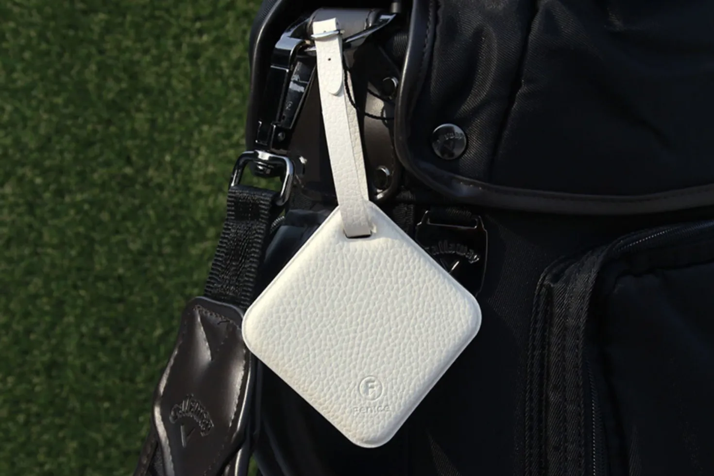 Classic Belted Luggage Tag