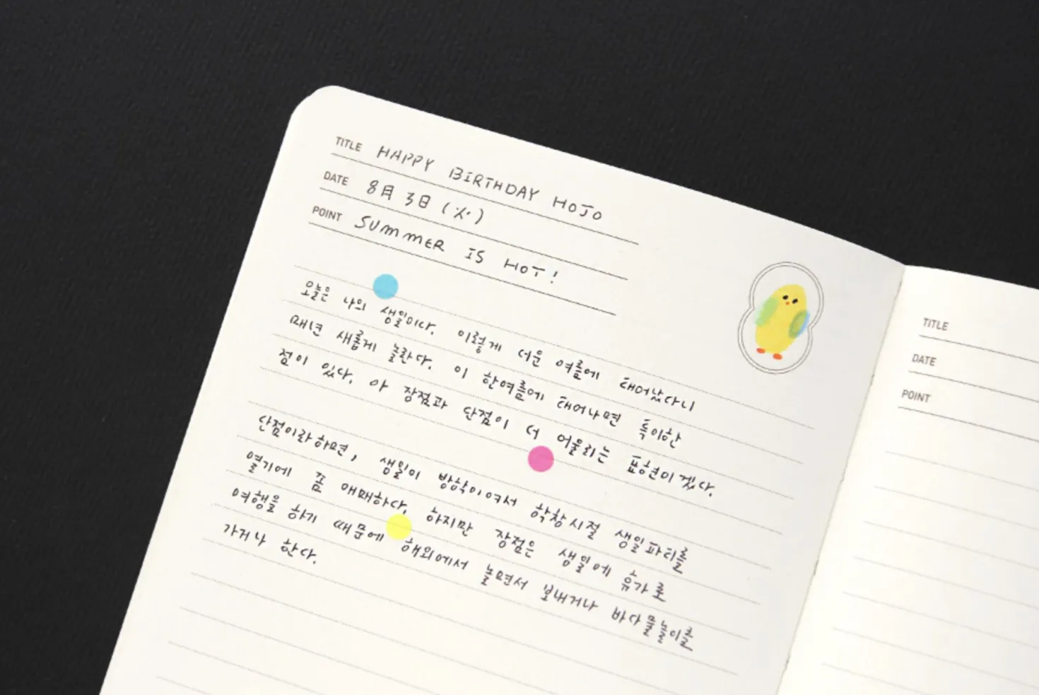 Classic Lined Journal