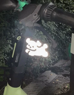 Coi Puppy Reflective Keychain
