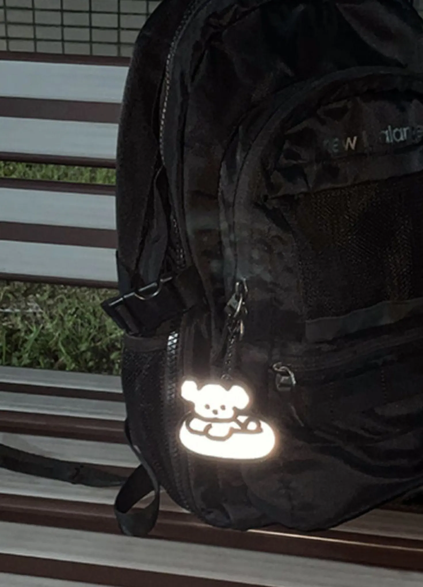 Coi Puppy Reflective Keychain