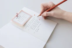 Color Basic B6 Notebook