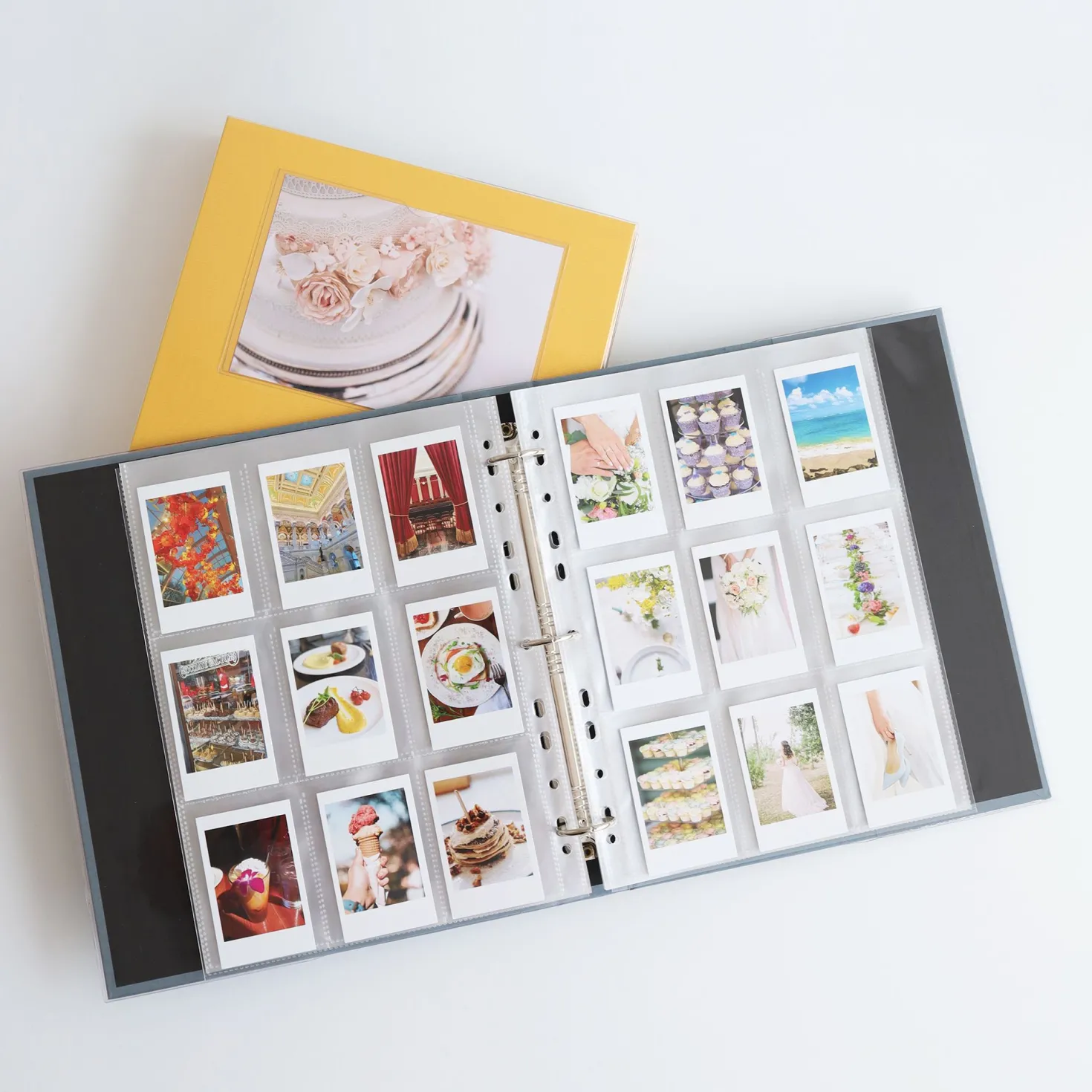 Colorful 3 Ring Binder