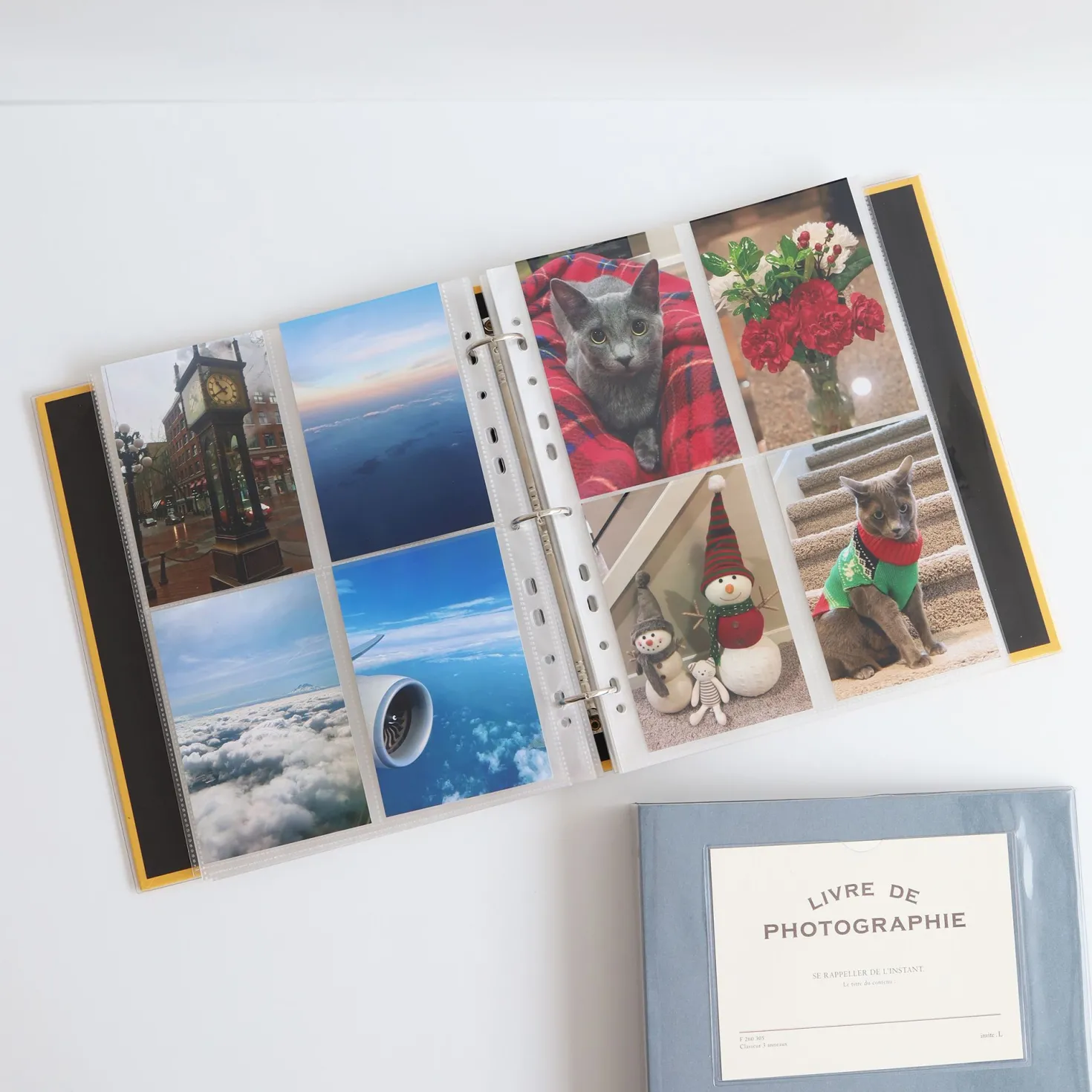 Colorful 3 Ring Binder