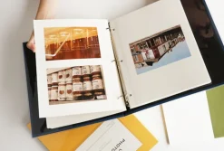 Colorful 3 Ring Binder
