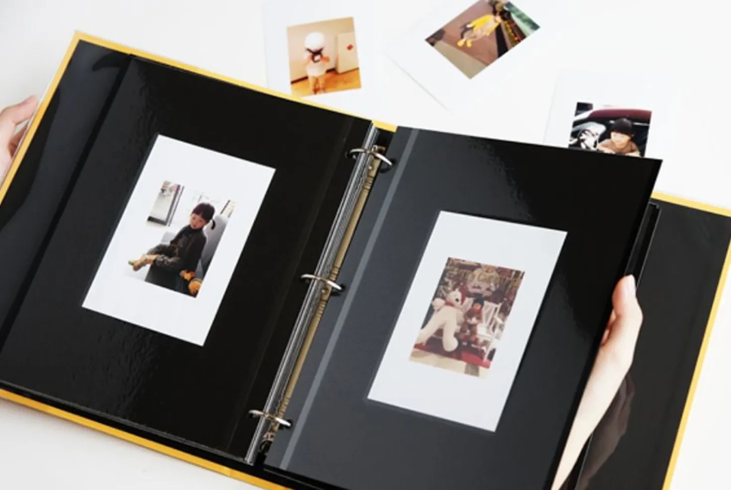 Colorful 3 Ring Binder