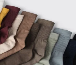 Cozy Ribbed Crew Women Socks