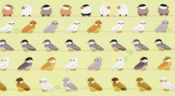 Curious Bird Paper Deco Sticker