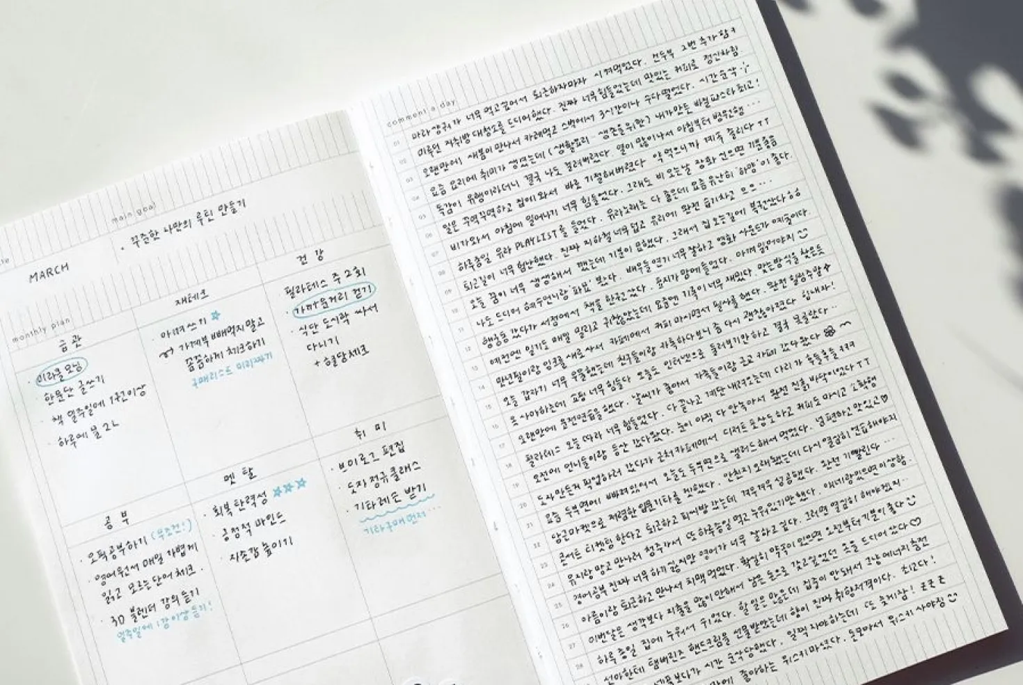 Daily Sequence One-Month Planner