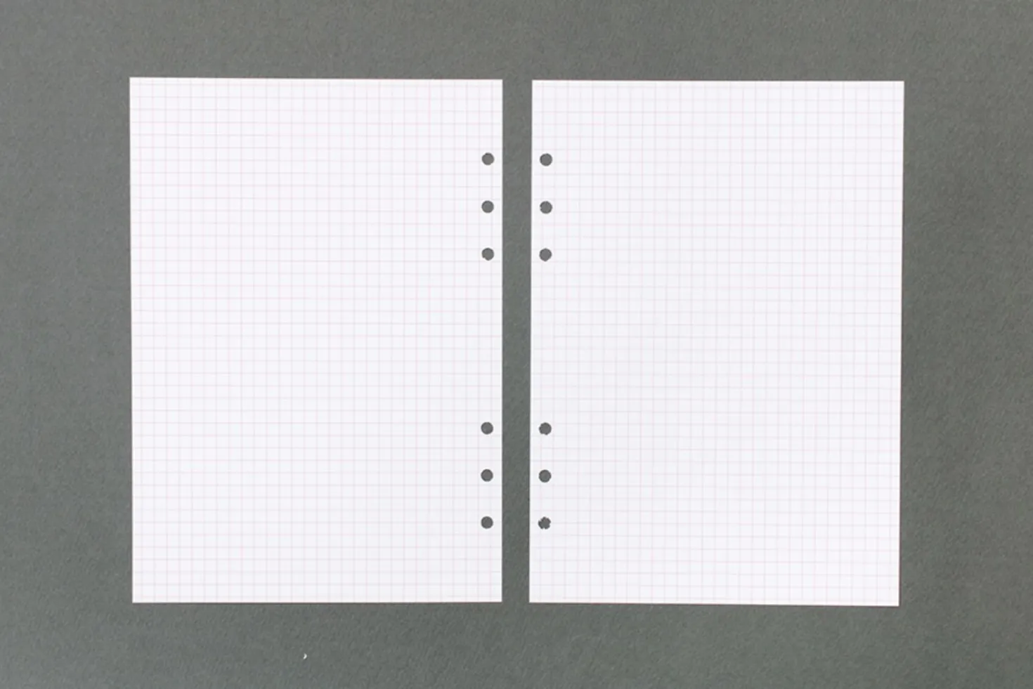 Deco Pocket 6 Ring A5 Planner Refill