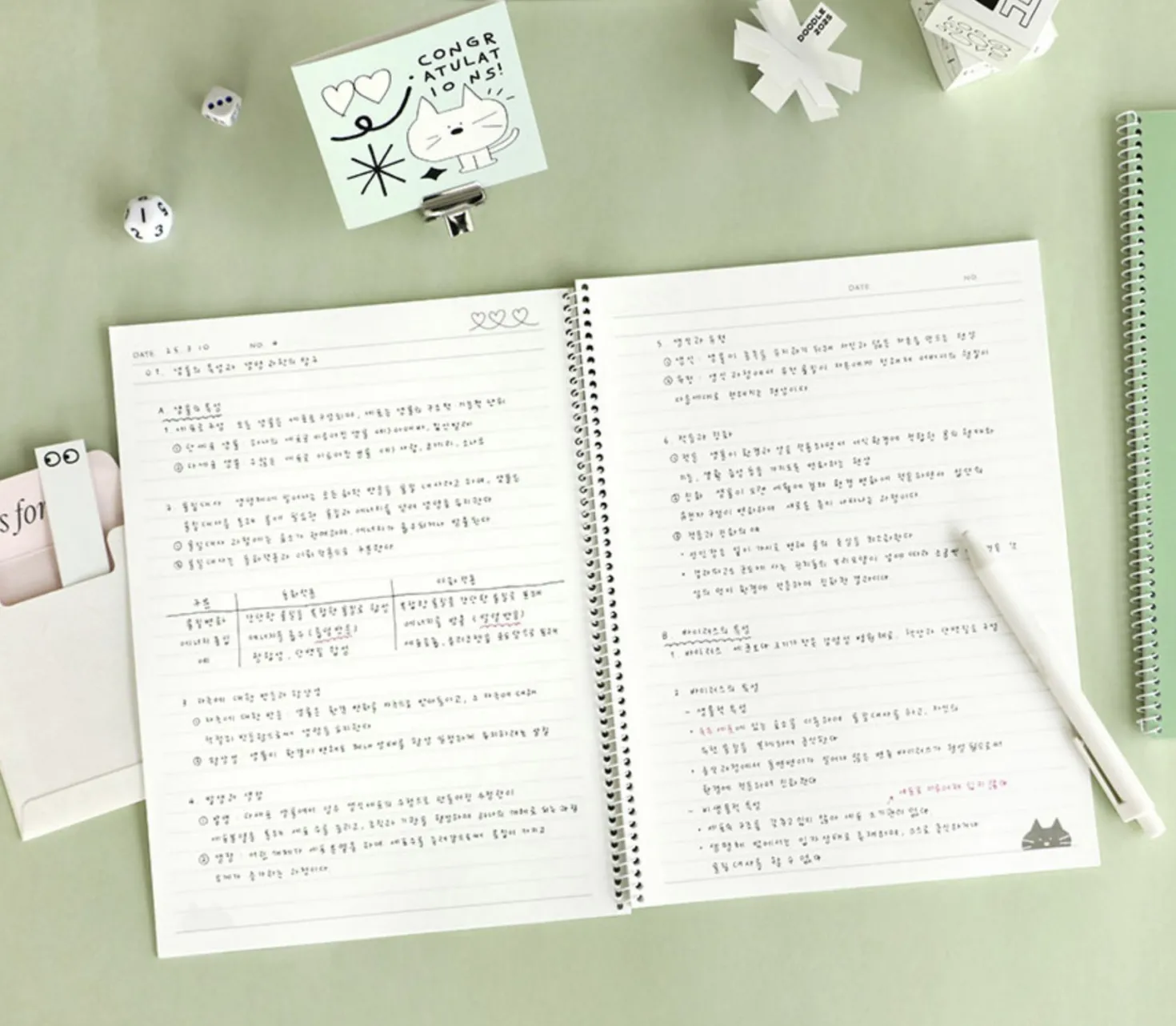 Doodle B5 Lined Notebook