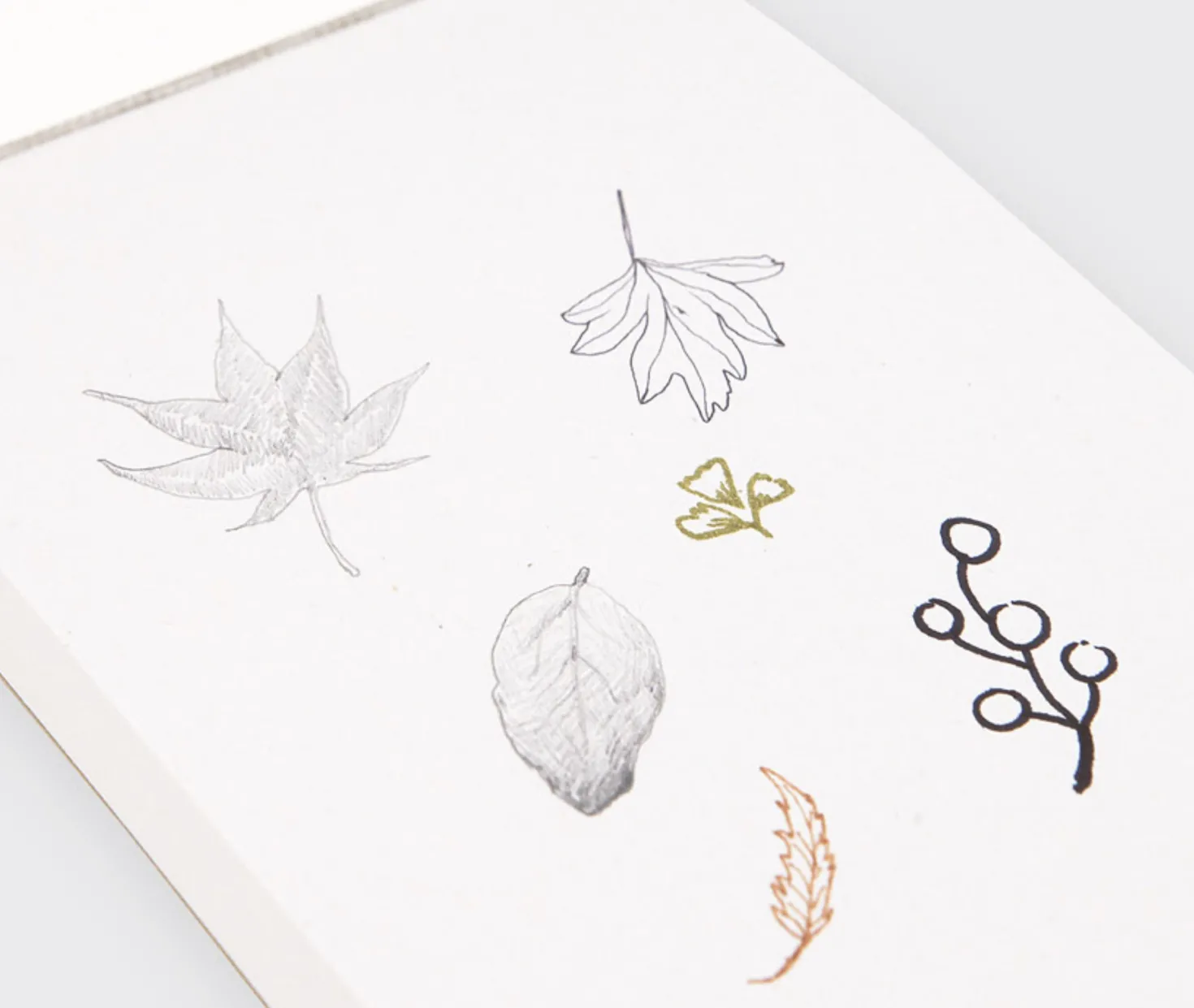 Elemental Drawing Book v2