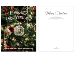 Everybody's Christmas Card