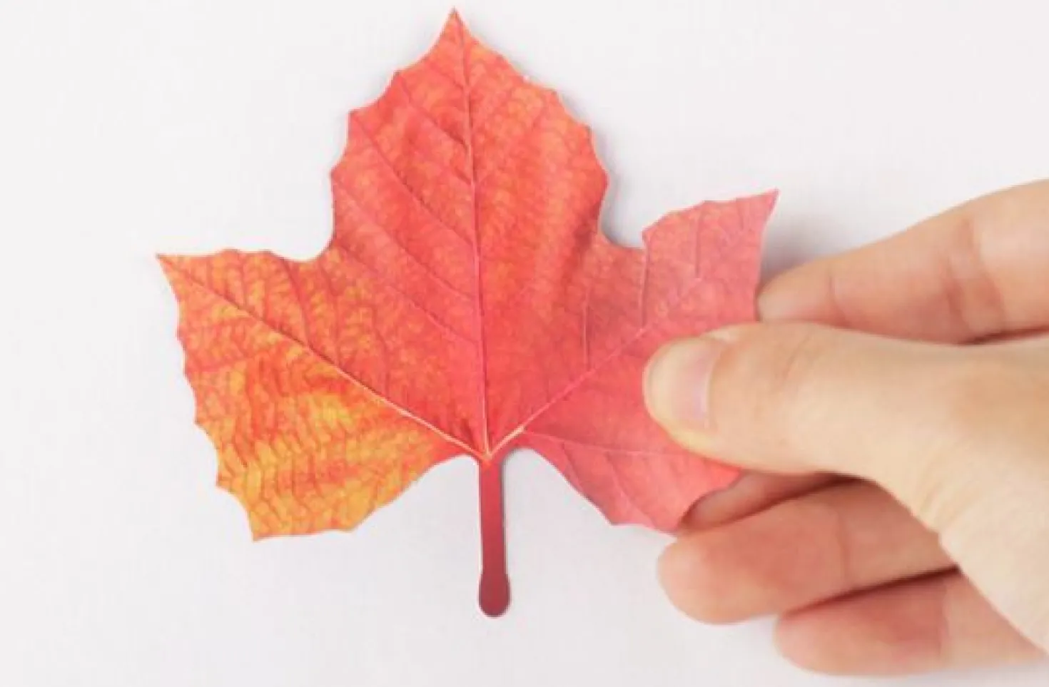 Fall Leaves Wall Deco Set