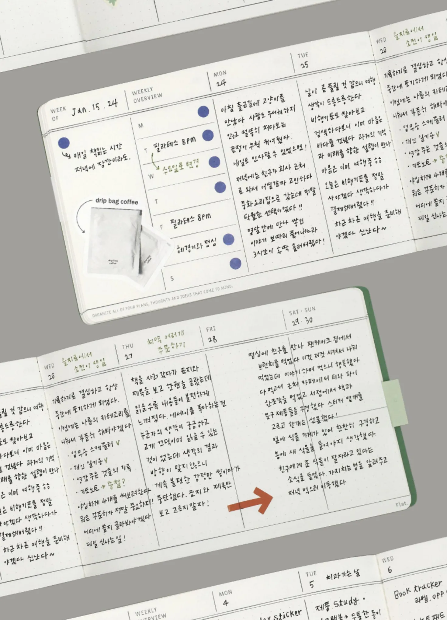 Flat Semi Year Weekly Pocket Scheduler