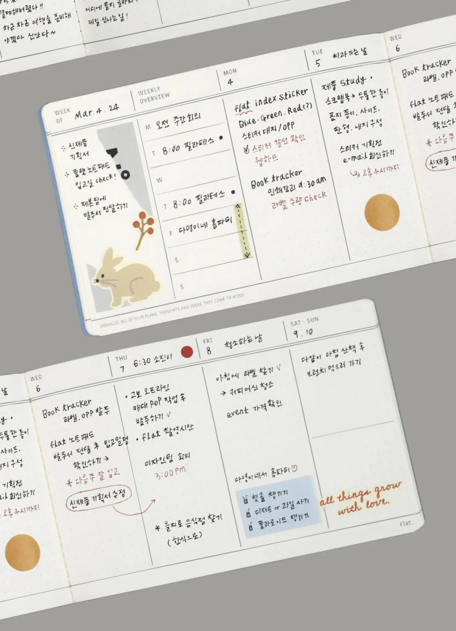 Flat Semi Year Weekly Pocket Scheduler