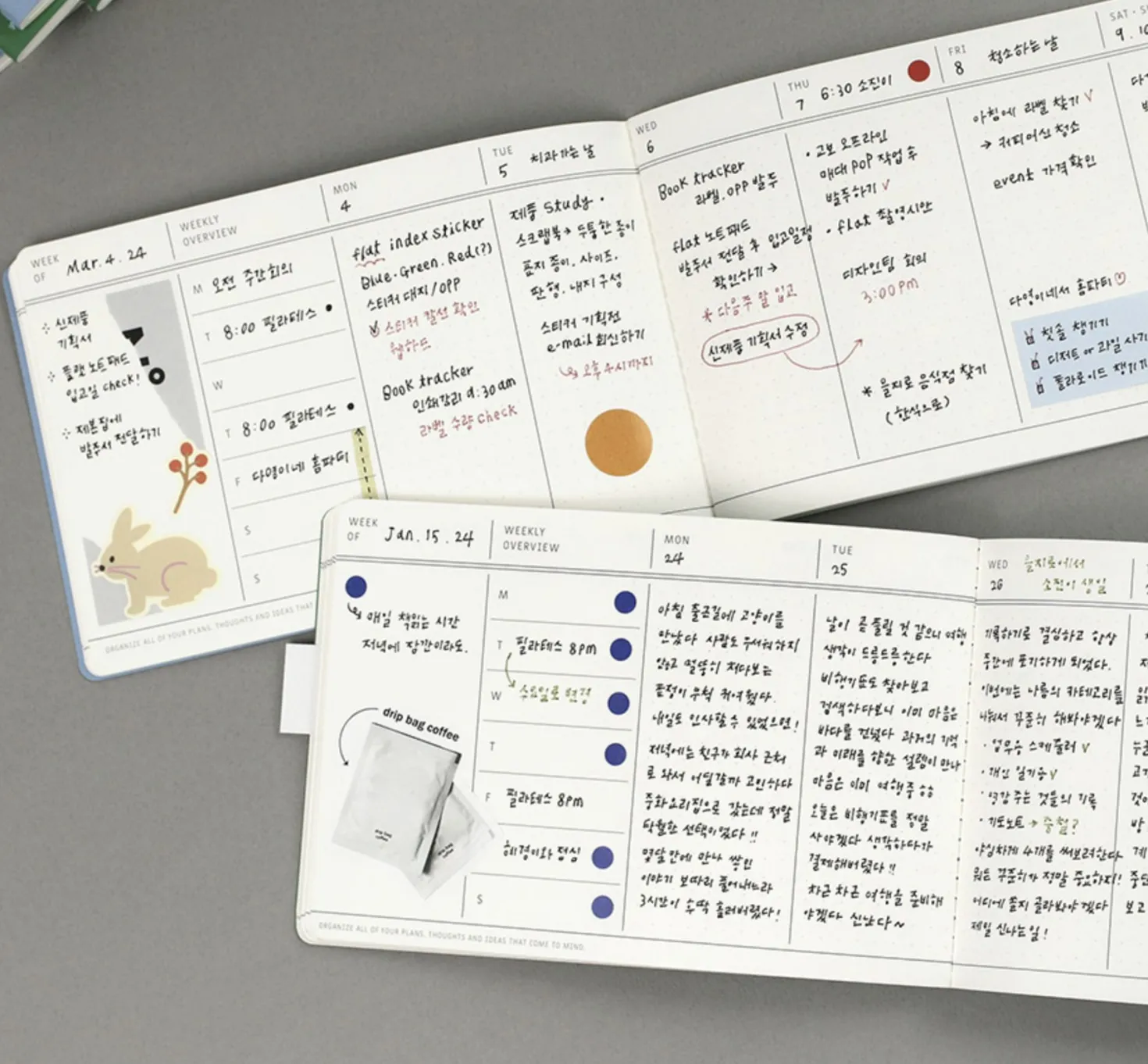 Flat Semi Year Weekly Pocket Scheduler