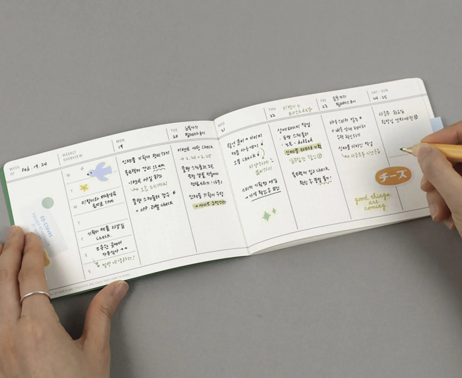 Flat Semi Year Weekly Pocket Scheduler