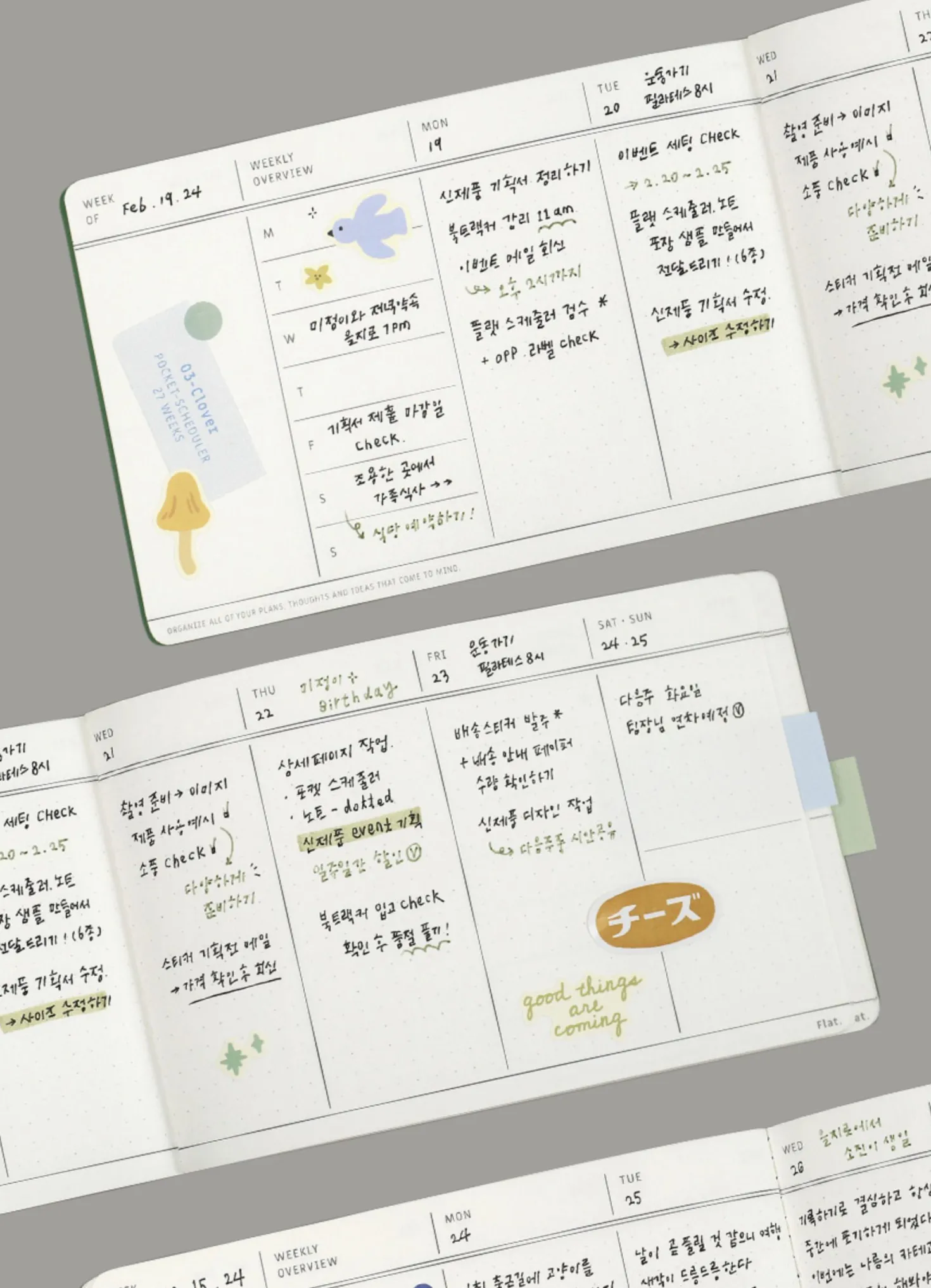 Flat Semi Year Weekly Pocket Scheduler