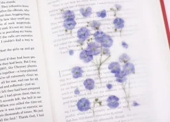 Flax Pressed Flower Sticker