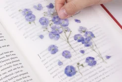 Flax Pressed Flower Sticker