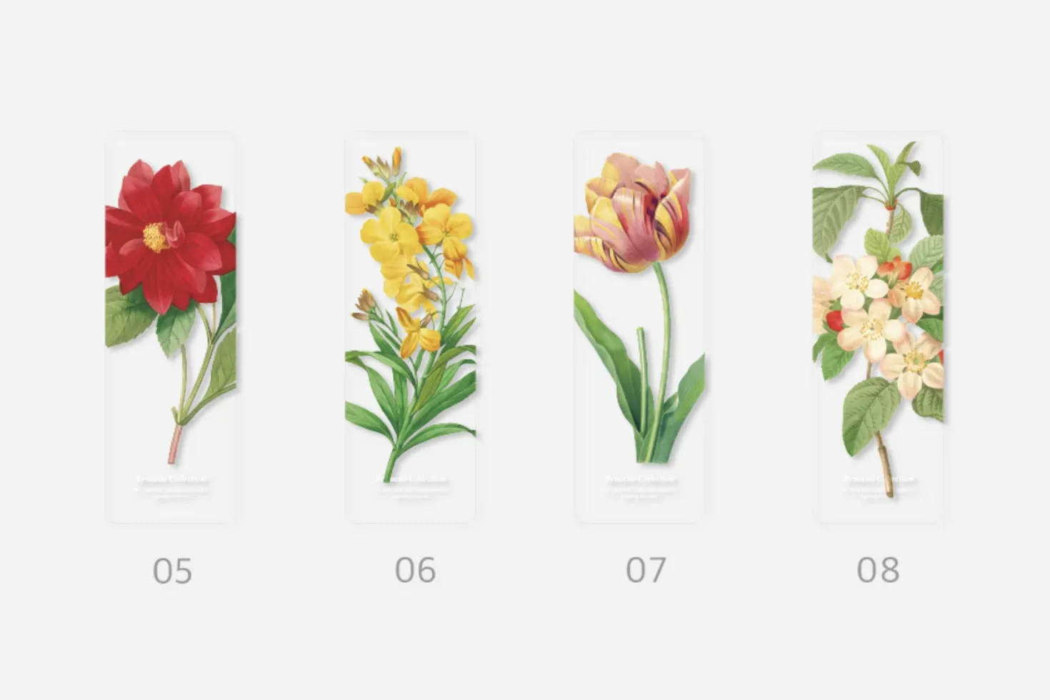 Flower Transparent Bookmark
