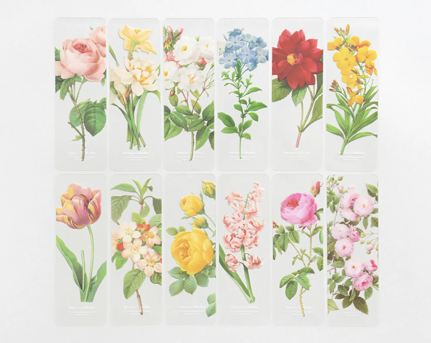 Flower Transparent Bookmark