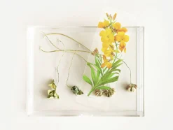 Flower Transparent Bookmark
