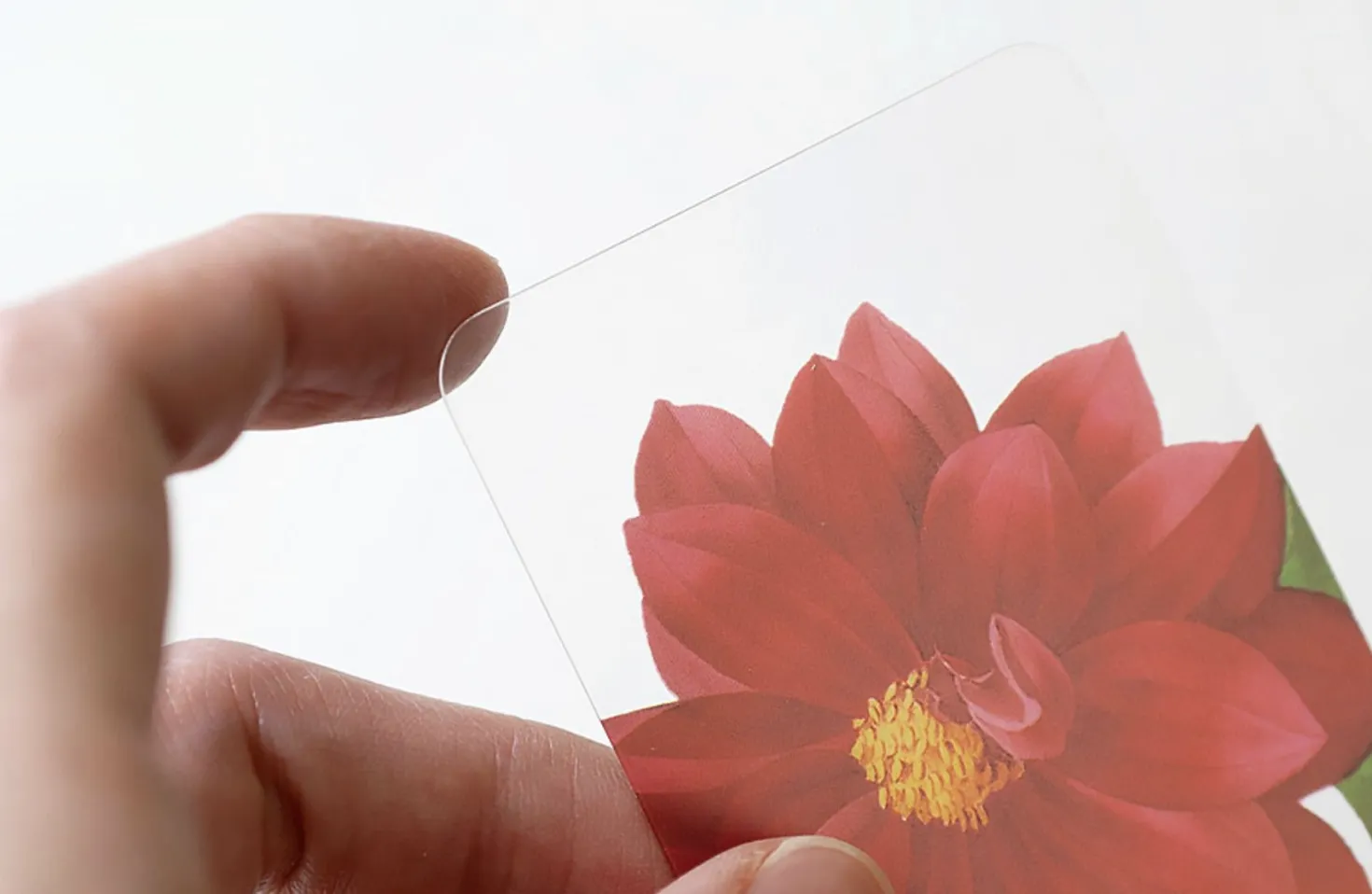 Flower Transparent Bookmark