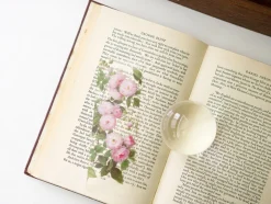Flower Transparent Bookmark