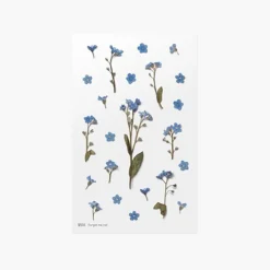Forget Me Not Pressed Flower Sticker