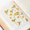 Freesia Pressed Flower Sticker